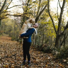 A woman joyfully embraces her dog on a foliage-covered forest trail in autumn.